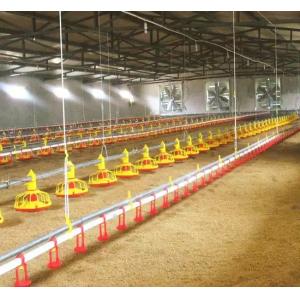 Water Line Automatic Pan Feeding System Chicken Poultry Nipple Drinking