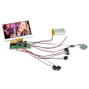 Quality Region LCD Video Module MPG Image Format for Superior Display Performance for sale