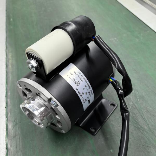 Buy Induction Motor Electric Water Vane Pump Motor 100W 150W 180W 200W 350W 550W at wholesale prices