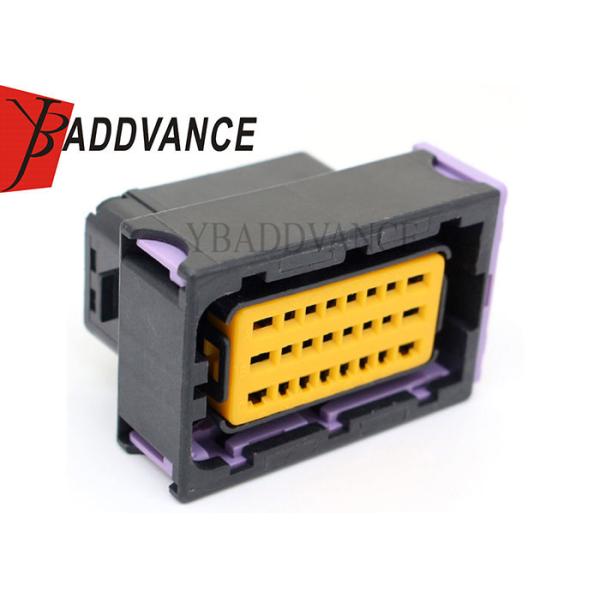 24 Way Female Sealed FCI Automotive Connectors With Terminals 211PC249S0005