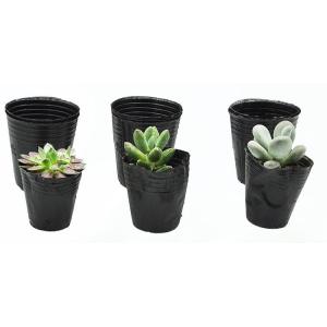 44cm Pumpkin Greenhouse Plastic Nursery Pot 10 Gallon Hydroponic Bowl