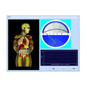 Hungarian Portuguese Version Quantum Therapy Machine 34 Reports