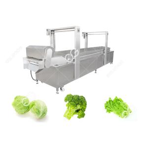 Automatic Food Precooking Vegetable Blanching and Cooking Machine
