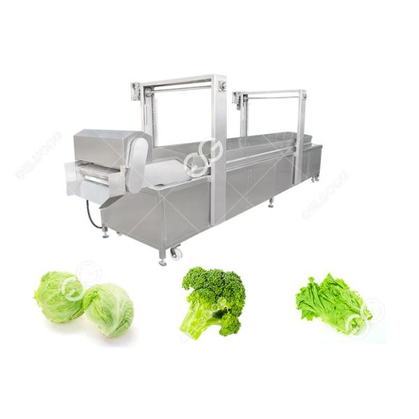 Buy Automatic Food Precooking Vegetable Blanching and Cooking Machine at wholesale prices
