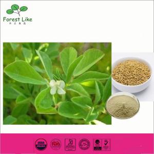 Fenugreek Seed / Trigonella Foenum-Graecum Extract Powder 50% Saponins