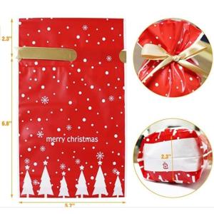 Gravure Printing LDPE Drawstring Holiday Gift Bags