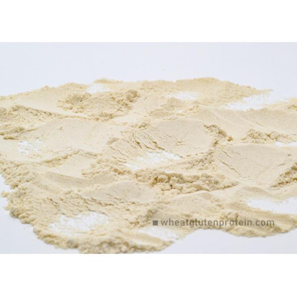 Buy Pure Dried Wheat Gluten Protein Powder , Aquaculture Feedstuff Protein at wholesale prices
