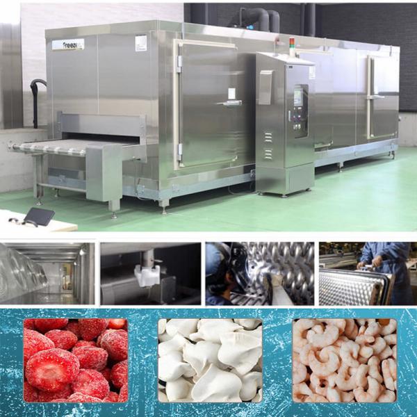 Buy Continuous Tunnel French Fries Seafood Freezer Arc Welding at wholesale prices