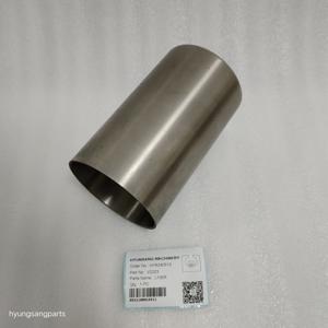 Hyunsang Engine Repair Kits Liner Compatible With 6685981 V2203 Engine