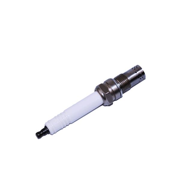 462203 Double Iridium Spark Plugs For GE Jenbacher P3V3N1