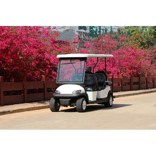 Buy Convenient Electric Golf Cart with 4 Seats& 2Rears 48V Lithium Battery Forward Speed 30km/h at wholesale prices