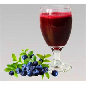 Natual GMO Free 25% Anthocyanosides Violet Fine Powder Vaccinium Myrtillus