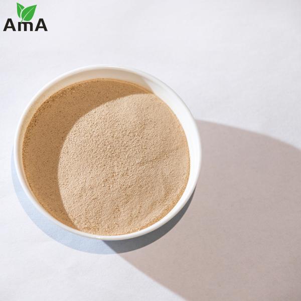 Water Soluble Organic Nitrogen Fertilizer Amino Acid 60% Powder