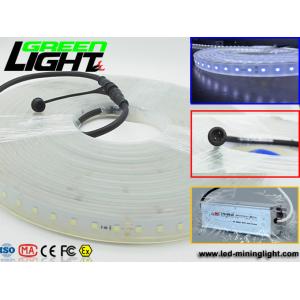 12v DC IP68 17W SMD5050 Flexible Led Strip Lights