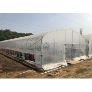 Automatic Manual Ventilation Single Span Tunnel Commercial Agriculture