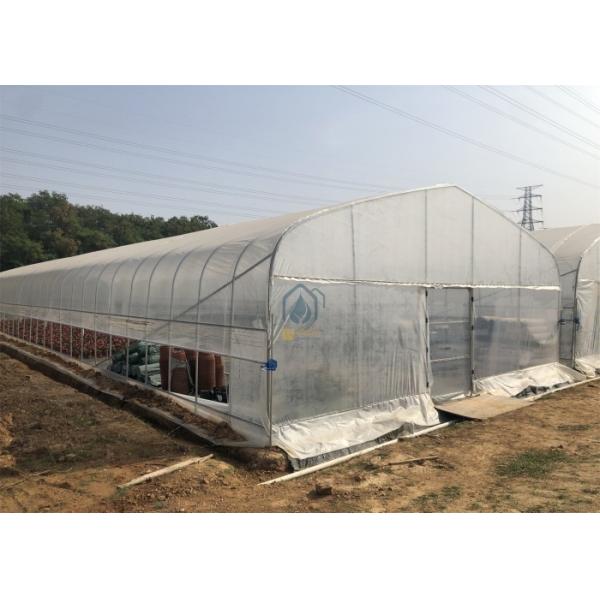 Automatic Manual Ventilation Single Span Tunnel Commercial Agriculture
