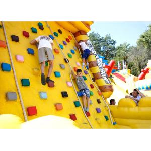 Inflatable Amusement Park With Golden Rock Climbing Wall , Printed Partern