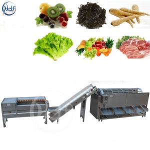 root vegetable washing machine salad vegetable cleaning machine