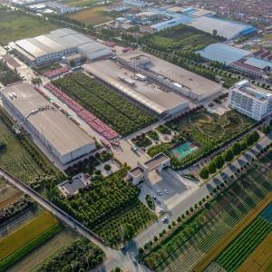 HALAL 80mesh 120mesh Dehydrated Garlic Powder In Low Bac