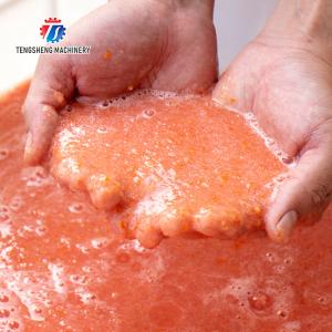 juicer fruit juice orange juice Tomato juice apple juice celery juice Celery