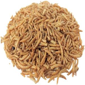 Quality Calcium-Rich Freeze Dried Worms for Pet Feeding for sale