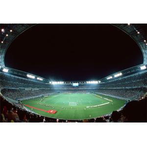 100W Fin Floodlight(IP65)