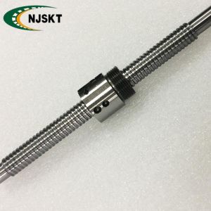 Quality BSHR01004 10mm Diameter Ball Screw Shaft Bidirectional Lead Screw for sale