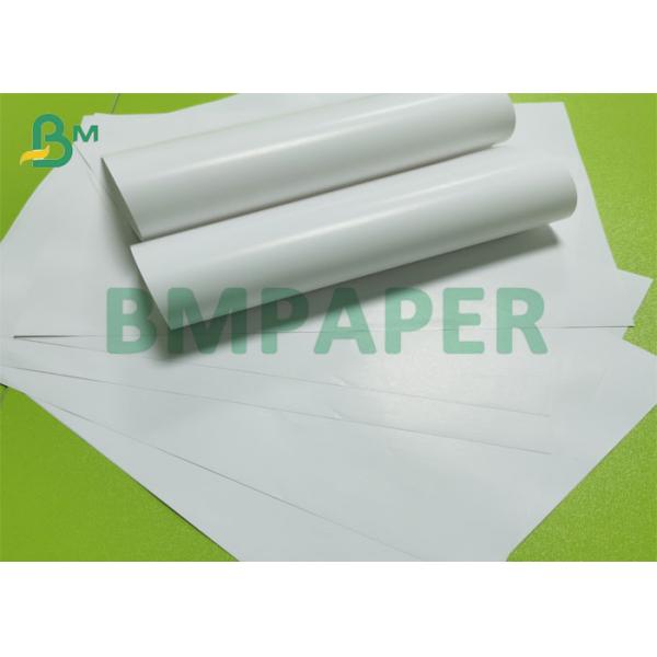 70gsm 80gsm Cast Two Sides Coated Gloss Cover Paper Perfect For Printing