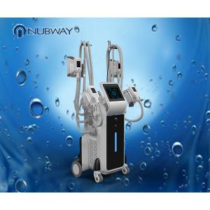 latest design 4 handles cryo fat freeze cryolipolysis body slimming machine