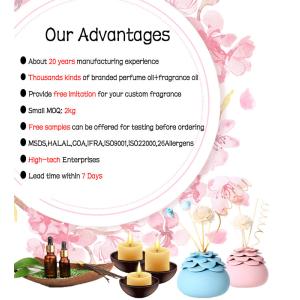 Fragrance Long Lasting Diffuser Essential Oil Candle Scent Oil Fragrance