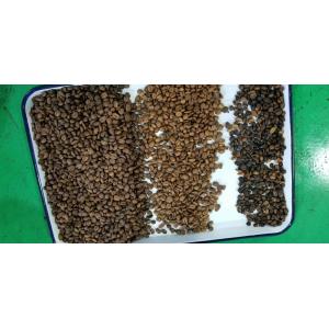Automatic Soybean Kidney Lentil Beans Color Sorter Customized