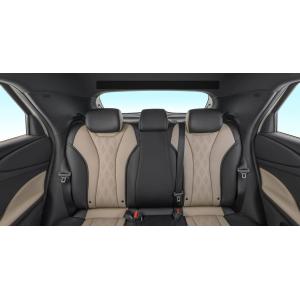 Byd Dolphin 2021 301km Vitality Edition EV Left Steering Fast Charging Time 0.5