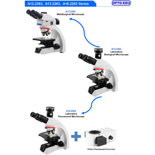 OPTO-EDU A12.2263 Infinity Trinocular Biological Laboratory Microscope