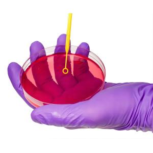 Smooth Surface Sterile Petri Dish Medical Laboratory