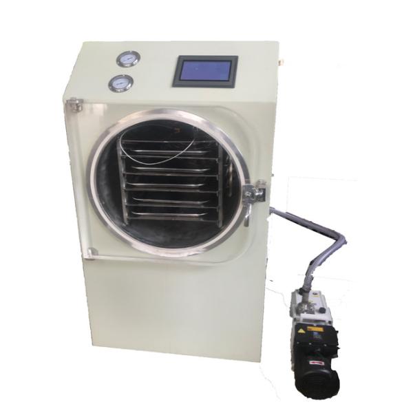 Buy 248kg Mini Freeze Drying Machine Touch Screen Operating Automatical Control at wholesale prices