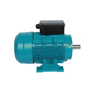1 Ph 0.5HP 220v 50Hz Single Phase Induction Motor With IEC Standard For Driving