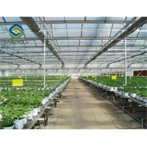 Hot Dipped Galvanized Steel 7.5m PC Sheet Greenhouse