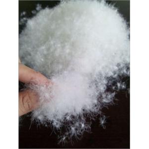 Supply High Fill Power IDFL 80/20 White Duck Down