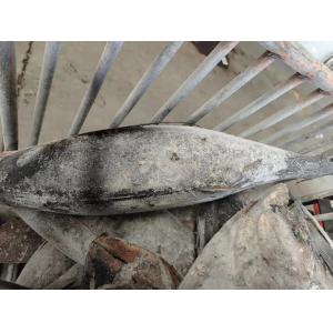 HACCP Approved 10 - 20KG Frozen Yellowfin Tuna WR