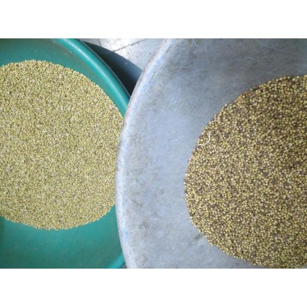 Wenyao Color Sorter Nuts Rice Grains Beans Tea Seeds Sorting Machine For Food Industry