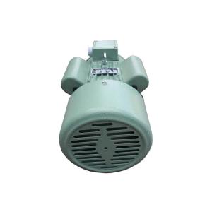 YC100L-2 Single Phase Induction Motor 1.5 KW 2 HP Output For Washing Machines