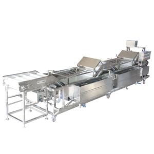 Quality Leek Garlic Vegetable Fruit Washing Machine , Vegetable Washing Equipment for sale