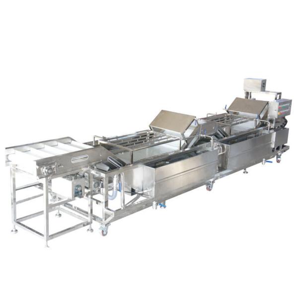 Leek Garlic Vegetable Fruit Washing Machine , Vegetable Washing Equipment