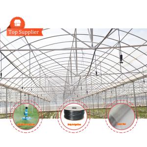 Baolida Custom Automatic System Greenhouse Tropical Hydroponic System Multi-span
