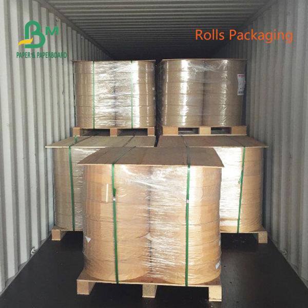 170g 190g 210g Watertight PE Coating Cup Paper 550mm Roll FDA Approved