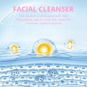 Private Label Organic Makeup Remover Face Wash Snail Hyaluronic Acid Facial