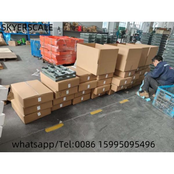 30kg Stainless Steel Electronic Bench Scale Waterproof Platform Weighing Scale