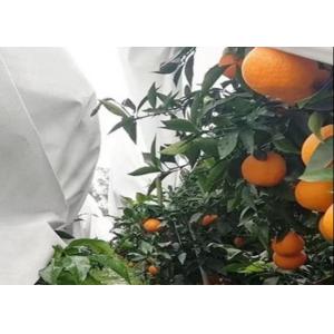 Thermal Insulation And Translucent Garden Cold-Proof Composite Nonwoven Fabrics