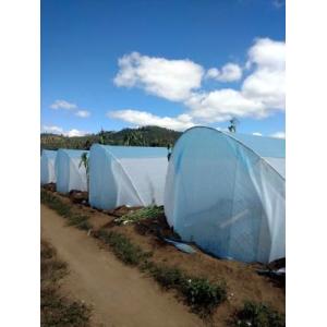 Mothproof Agriculture Non Woven Fabric For Vegetable Protect Durable