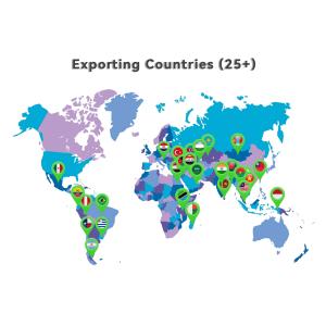 High Precision Helium Leak Detector with Dual Ion Sources